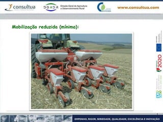 Mobilização reduzida (mínima):
 