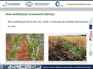 Sem mobilização prévia do solo, sendo a colocação da semente directamente
no solo.
Sem mobilização (sementeira direta):
 