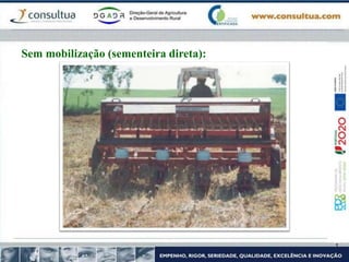 Sem mobilização (sementeira direta):
 