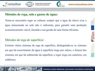 Métodos de rega, solo e gastos de água:
Torna-se necessário regar as culturas sempre que a água da chuva e/ou a
água armazenada no solo não é suficiente, para garantir uma produção
economicamente viável, fazendo a sua gestão de uma forma eficiente.
Métodos de rega de superfície:
Existem vários sistemas de rega de superfície, distinguindo-se os sistemas
em que há escorrimento da água à superfície (rega por sulcos, e faixas) dos
sistemas em que há submersão da superfície a regar (rega em canteiros, em
caldeiras).
 