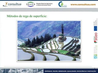 Métodos de rega de superfície:
 