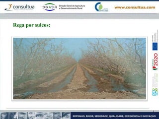 Rega por sulcos:
 