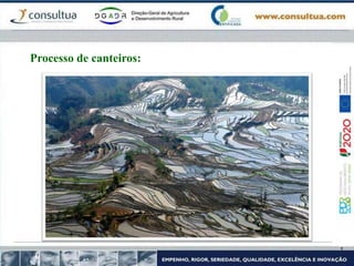 Processo de canteiros:
 