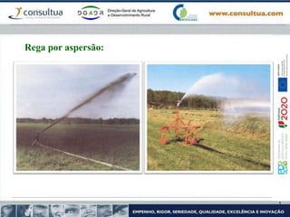 Rega por aspersão:
 