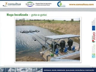 Rega localizada – gota-a-gota:
 