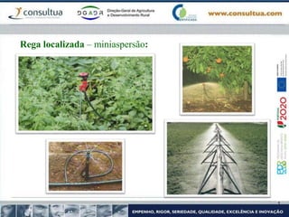 Rega localizada – miniaspersão:
 