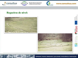 Regueiras de nível:
 