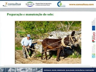 Preparação e manutenção do solo:
 
