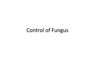 Control of Fungus
 