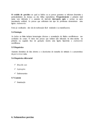 O estádio de gravidez no qual os leitões ou as porcas gestantes se infectam determina a
particularidades da doença ou das falhas reprodutivas. Frequentemente o primeiro sinal
numa vara infectada é o aumento do intervalo inter-parto após o serviço ou após
inseminação artificial. As porcas que enfrentam tais tipo de problemas demonstram uma
ligeira endometrite.
Fetos já ossificados não são de reabsorção fácil tendendo à se mumificarem.
5.4 Patologia
As lesões no feto incluem hemorragias diversas e acumulação de fluídos serofibrinosos nas
cavidades do corpo. O útero das porcas que tenham sido infectada via intra-uterina na
primeira ou segunda fase de gestação mostra uma ligeira hiperémia e endometrite
serofibinosa
5.5 Diagnóstico
Aumento dramático de dias abertos e o decréscimo do tamanho de ninhada é a característica
da parvovirose suina.
5.6 Diagnóstico diferencial
 Brucella suis
 Leptospira
 Endotoxemias
5.7 Controle
 Imunização
6. Salmonelose porcina
 
