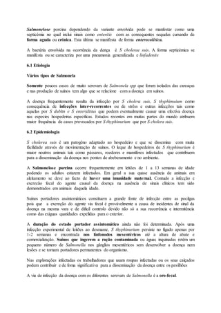 Salmonelose porcina dependendo da variante envolvida pode se manfestar como uma
septicémia no qual inclui sinais como enteritis com as consequentes sequelas cursando de
forma aguda ou crónica. Esta última se manifesta de forma enterocolítica.
A bactéria envolvida na ocorrência da dença é S cholerae suis. A forma septicémica se
manifesta ou se caracteriza por uma pneumonia generalizada e linfadenite
6.1 Etiologia
Vários tipos de Salmonela
Somente poucos casos de muito serovars de Salmonela spp que foram isolados das carcaças
e nas produção de suínos tem algo que se relacione com a doença em suínos.
A doença frequentemente resulta da infecção por S cholera suis, S thyphimuium como
consequência de infecções inter-recorrentes ou de strêss e outras infecções tais como
aquelas por S dublin e S enteriditius que podem eventualmente causar uma efectiva doença
nas especies hospedeiras especificas. Estudos recentes em muitas partes do mundo atribuem
maior frequência de casos provocados por S thyphinurium que por S cholera suis.
6.2 Epidemiologia
S cholerea suis é um patogéno adaptado ao hospedeiro e que se dissemina com muita
fácilidade através de movimentação de suínos. O leque de hospedeiros de S thyphinurium é
maior noutros animais tais como pássaros, roedores e mamíferos infectados que contribuem
para a disseminação da doença nos pontos de abeberamento e no ambiente.
A Salmonelose porcina ocorre frequentemente em leitões de 1 a 13 semanas de idade
podendo os adultos estarem infectados. Em geral a sua quase ausência de animais em
aleitamento se deve ao facto de haver uma imunidade maternal. Contudo a infecção e
excrecão fecal do agente causal da doença na ausência de sinais clínicos tem sido
demonstrados em animais daquela idade.
Suínos portadores assintomáticos constituem a grande fonte de infecção entre as pocilgas
pois que a excreção do agente via fecal é provávelmente a causa de incidentes de sinal da
doença na mesma vara e de dificil controlo devido não só a sua recorrência e intermitência
como das exiguas quatidades expelidas para o exterior.
A duração do estado portador assintomático ainda não foi determinada. Após uma
infecção experimental de leitões ao desmame, S thyphinurium persiste no fígado apenas por
1-2 semanas e encontrada nos línfonodos mesentéricos até a altura de abate e
comercialização. Suínos que ingerem a ração contaminada ou águas inquinadas retêm um
pequeno número de Salmonella nos gânglios mesentéricos sem desenvolver a doença nem
lesões e se tornam portadores permanentes do organismo.
Nas explorações infectadas os trabalhadores que usam roupas infectadas ou os seus calçados
podem contribuir e de foma significativa para a disseminação da doença entre os pavilhões
A via de infecção da doença com os diferentes serovars de Salmonella é a oro-fecal.
 