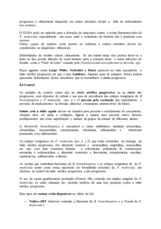 progressiva é clinicamente inaparente em suínos afectados devido a falta de deformidades
nos cornetos.
O ELISA pode ser aplicado para a detenção de anticorpos contra a toxina Dermonecrótica da
P. multocida, especialmente em casos onde o isolamento da bactéria não é praticada com
sucesso.
Outras causas de espirros como poeiras no ambiente e corpos estranhos devem ser
considerados no diagnóstico diferencial.
Deformidades do focinho visiveis clinicamente de um animal numa vara podem dever-se a
lesão na fase juvenil, infecção do canal dentário após a extração deste e outras infecções do
focinho como o “Nariz de touro” causado pelo Fusobacterium necrophorum ou Borrelia spp.
Raças gigantes como Large White, Yorkshire e Duroc parecem ser mais susceptíveis a
rinite atrófica progressiva do que a raça Landrace. Algumas raças de pelagem branca podem
apresentar deformações faciais hereditária que se assemelham a rinite progressiva.
8.6 Control
As medidas de control, sejam elas na rinite atrófica progressiva ou na rinite não
progressiva, com objectivo de reduzir a sua taxa de prevalência das estirpes toxigénicas de B
bronchiseptica e P multocida tipo A e D passam pela vacinação das reprodutoras e
provisão de medicamentos na fórmula alimentar e tratamento antimicrobial de leitões.
Suínos com a rinite aguda devem ser tratados para prevenir o retardamento do crescimento.
Atenção deve ser dada a ventilação, higiene e maneio para prevenir outros factores
predisponentes tais como superlotação e mistura de grupos de animais de diferentes idades.
A Bordetella bronchiseptica é susceptível a vários antibióticos, incluíndo tetraciclinas,
cloxaciclinas, amoxaciclinas, estreptomicina, eritomicina, sulfonamidas e trimetropin
potenciada com sulfonamidas.
As estirpes toxigénicas da P. multocida tipo A e D, que estão envolvidas na etiologia da
rinite atrófica progressiva, são altamente sensíveis a penicncilinas, ampicilinas, amoxycilinas
etc mas com uma resistência limitada a eritromicina, polimixcina B, cotrimoxazol,
neomicina e oxitetraciclinas e altamente resistentes a lincomicina, estreptomicina, oxacilina,
espiramicina, sulfonamidas e tilosina.
As vacinas que contenham bacterinas de B. bronchiseptica, e as estirpes toxigénicas de de P.
multocida assim como toxina inactivada em formaldeído (toxoide) da P. multocida, são
efectivas no control da rinite atrófica progressiva e não progressiva.
O uso da vacina genéticamente produzida (Protech AR) contendo um simples antigénio da P.
multocida, (a então chamada do- protein) também dá uma boa proteção contra a rinite
atrófica progressiva.
Dois tipos de vacinas estão disponíveis na Africa do Sul
o Nobivc-ART (Intervet) contendo a Bacterina da B. bronchiseptica e a Toxoid da P.
multocida e
 