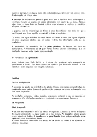 excreções lacrimais. Solo, água e cama são contaminados nesse processo bem como os restos
de alimentação de origem suína.
A presença das bactérias nas guelras de peixe usado para o fabrico de ração pode explicar a
ocorrência frequente da doença em animais alimentados com aquele tipo de ração. Além de
suíno como a outra fonte da bactéria existem aves selvagens e roedores e mamiferos
selvagens e domésticos.
O papel do solo na epidemiologia da doença é ainda desconhecido mas pensa se que a
bactéria pode ter a forma saprófita em material orgânico e inorgânico.
De acordo com alguns trabalhos de vários autores a ES tende a correr com alguma frequência
em áreas geográficas alcalinas que em outras. Todavia, tais observações ainda não são
conclusivas.
A possibilidade de transmissão da ES pelas picaduras de insectos não deve ser
menosprezada. A transmissão da ES pelos vários insectos tem sido demonstrado e o seu
significado ou crença ainda é muito pouco explorado.
2.4 Factores de susceptibilidade
Idade: Animais com idade inferior a 3 meses são geralmente mais susceptíveis de
apresentarem a doença. Este factor deverá ser explicado pela imunidade maternal e uma
imunidade activa adquirida nas infecções subclinicas.
Genética
Factores predisponentes
A existência de quadro de toxicidade pelas plantas tóxicas, temperatura ambiental fadiga são
consideradas entre muitos factores de predisposição à doença ou mesmo a alimentação com
altos niveis de proteina.
As condições ambientais, strêss, nutrição, temperatura ambiental e suas as mudanças de
temperaturas têm sido ligadas com factores precipitantes ao aparecimento da doença.
2.5 Patogénese
Modo de entrada
A ES tem uma variedade de modo de entrada no organismo. A infecção é através de ingestão
de material contaminado e a água parece ser a mais comum. As infecções naturais podem
ocorrer através de feridas. A inoculação e a escarificação foram também notificadas como
importantes rotas de entrada da doença.
A forma romboidal consequente das lesões da ES resulta de artrite e da trombosis da
arteriolas na dermes.
 