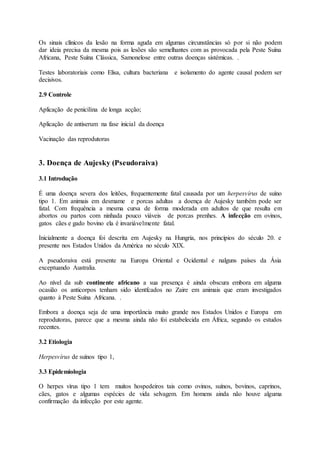 Os sinais clínicos da lesão na forma aguda em algumas circunstâncias só por si não podem
dar ideia precisa da mesma pois as lesões são semelhantes com as provocada pela Peste Suína
Africana, Peste Suína Clássica, Samonelose entre outras doenças sistémicas. .
Testes laboratoriais como Elisa, cultura bacteriana e isolamento do agente causal podem ser
decisivos.
2.9 Controle
Aplicação de penicilina de longa acção;
Aplicação de antiserum na fase inicial da doença
Vacinação das reprodutoras
3. Doença de Aujesky (Pseudoraiva)
3.1 Introdução
É uma doença severa dos leitões, frequentemente fatal causada por um herpesvírus de suíno
tipo 1. Em animais em desmame e porcas adultas a doença de Aujesky também pode ser
fatal. Com frequência a mesma cursa de forma moderada em adultos de que resulta em
abortos ou partos com ninhada pouco viáveis de porcas prenhes. A infecção em ovinos,
gatos cães e gado bovino ela é invariávelmente fatal.
Inicialmente a doença foi descrita em Aujesky na Hungria, nos princípios do século 20. e
presente nos Estados Unidos da América no século XIX.
A pseudoraiva está presente na Europa Oriental e Ocidental e nalguns países da Ásia
exceptuando Australia.
Ao nível da sub continente africano a sua presença é ainda obscura embora em alguma
ocasião os anticorpos tenham sido identfcados no Zaire em animais que eram investigados
quanto à Peste Suína Africana. .
Embora a doença seja de uma importância muito grande nos Estados Unidos e Europa em
reprodutoras, parece que a mesma ainda não foi estabelecida em África, segundo os estudos
recentes.
3.2 Etiologia
Herpesvírus de suínos tipo 1,
3.3 Epidemiologia
O herpes vírus tipo 1 tem muitos hospedeiros tais como ovinos, suínos, bovinos, caprinos,
cães, gatos e algumas espécies de vida selvagem. Em homens ainda não houve alguma
confirmação da infecção por este agente.
 