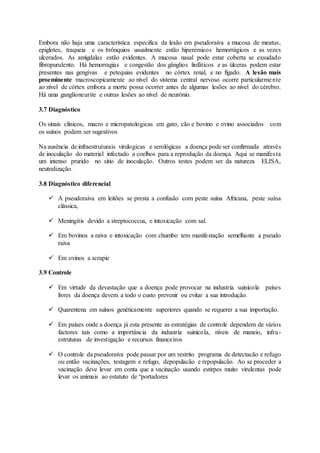 Embora não haja uma característica especifica da lesão em pseudoraiva a mucosa de meatus,
epiglotes, traqueia e os brônquios usualmente estão hiperémicos hemorrágicos e as vezes
ulcerados. As amígdalas estão evidentes. A mucosa nasal pode estar coberta se exsudado
fibropurulento. Há hemorragias e congestão dos gânglios linfáticos e as úlceras podem estar
presentes nas gengivas e petequias evidentes no córtex renal, e no fígado. A lesão mais
proeminente macroscopicamente ao nível do sistema central nervoso ocorre particularmente
ao nível de córtex embora a morte possa ocorrer antes de algumas lesões ao nível do cérebro.
Há uma ganglioneurite e outras lesões ao nível de neurónio.
3.7 Diagnóstico
Os sinais clínicos, macro e micropatologicas em gato, cão e bovino e ovino associados com
os suínos podem ser sugestivos
Na ausência de infraestruturais virulogicas e serológicas a doença pode ser confirmada através
de inoculação do material infectado a coelhos para a reprodução da doença. Aqui se manifesta
um intenso prurido no sitio de inoculação. Outros testes podem ser da natureza ELISA,
neutralização.
3.8 Diagnóstico diferencial
 A pseudoraiva em leitões se presta a confusão com peste suína Africana, peste suína
clássica,
 Meningitis devido a streptococcus, e intoxicação com sal.
 Em bovinos a raiva e intoxicação com chumbo tem manifestação semelhante a pseudo
raiva
 Em ovinos a scrapie
3.9 Controle
 Em virtude da devastação que a doença pode provocar na industría suinícola países
livres da doença devem a todo o custo prevenir ou evitar a sua introdução.
 Quarentena em suínos genéticamente superiores quando se requerer a sua importação.
 Em países onde a doença já esta presente as estratégias de controle dependem de vários
factores tais como a importância da industría suinícola, níveis de maneio, infra-
estruturas de investigação e recursos financeiros
 O controle da pseudoraiva pode passar por um restrito programa de detectacão e refugo
ou então vacinações, testagem e refugo, depopulacão e repopulacão. Ao se proceder a
vacinação deve levar em conta que a vacinação usando estirpes muito virulentas pode
levar os animais ao estatuto de “portadores
 