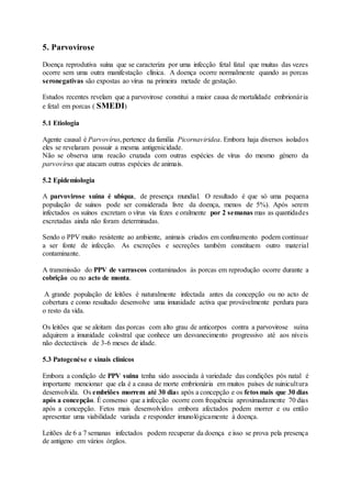 5. Parvovirose
Doença reprodutiva suína que se caracteriza por uma infecção fetal fatal que muitas das vezes
ocorre sem uma outra manifestação clínica. A doença ocorre normalmente quando as porcas
seronegativas são expostas ao vírus na primeira metade de gestação.
Estudos recentes revelam que a parvovirose constitui a maior causa de mortalidade embrionária
e fetal em porcas ( SMEDI)
5.1 Etiologia
Agente causal é Parvovírus,pertence da família Picornaviridea. Embora haja diversos isolados
eles se revelaram possuir a mesma antigenicidade.
Não se observa uma reacão cruzada com outras espécies de vírus do mesmo género da
parvovírus que atacam outras espécies de animais.
5.2 Epidemiologia
A parvovirose suína é ubíqua, de presença mundial. O resultado é que só uma pequena
população de suínos pode ser considerada livre da doença, menos de 5%). Após serem
infectados os suínos excretam o vírus via fezes e oralmente por 2 semanas mas as quantidades
excretadas ainda não foram determinadas.
Sendo o PPV muito resistente ao ambiente, animais criados em confinamento podem continuar
a ser fonte de infecção. As excreções e secreções também constituem outro material
contaminante.
A transmissão do PPV de varrascos contaminados ás porcas em reprodução ocorre durante a
cobrição ou no acto de monta.
A grande população de leitões é naturalmente infectada antes da concepção ou no acto de
cobertura e como resultado desenvolve uma imunidade activa que provávelmente perdura para
o resto da vida.
Os leitões que se aleitam das porcas com alto grau de anticorpos contra a parvovirose suína
adquirem a imunidade colostral que conhece um desvanecimento progressivo até aos níveis
não dectectáveis de 3-6 meses de idade.
5.3 Patogenése e sinais clínicos
Embora a condição de PPV suina tenha sido associada à variedade das condições pós natal é
importante mencionar que ela é a causa de morte embrionária em muitos países de suinicultura
desenvolvida. Os embriões morrem até 30 dias após a concepção e os fetos mais que 30 dias
após a concepção. É consenso que a infecção ocorre com frequência aproximadamente 70 dias
após a concepção. Fetos mais desenvolvidos embora afectados podem morrer e ou então
apresentar uma viabilidade variada e responder imunológicamente à doença.
Leitões de 6 a 7 semanas infectados podem recuperar da doença e isso se prova pela presença
de antigeno em vários órgãos.
 