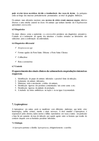 pode revelar áreas necróticas devido a trombocitosis dos vasos de derme. As petéquias
estão ao longo das mucosas particularmente pronunciadas ao nível de gânglios linfáticos.
Os animais mais afectados mostram uma necrose de córtex renal, mucosas negras, infartos
diversos e uma enterite catarral no ileum. Os animais que tenham morrido da S thyphinurium
apresentam enterocolite.
6.5 Diagnóstico
Os sinais clínicos como a septicémia e a enterocolitis permitem um diagnóstico presuntivo.
Contudo só o isolamento do agente dos intestinos e tecidos enviados ao laboratório são
suficientes para a confirmação da enfermidade.
6.6 Diagnóstico diferencial
 Streptococcus spp
 Formas agudas da Peste Suína Áfricana e Peste Suína Clássica
 Colibacilose
 Rota e coronavírus
6.7 Controle
O aparecimento dos sinais clinicos da salmonelosis emproduções intensivas
requerem:
1. Identificação do grupo de animais infectados e possivel fonte de infecção;
2. Isolamento de animais infectados;
3. Minimizar todo o movimento e tráfico de animais;
4. Desinfecção rigorosa dos produtos contaminados tais como cama e etc;
5. Desinfecção rigorosa da unidade de produção;
6. A inclusão de vários antibióticos na ração e ou na água é recomendada
7. Leptospirose
A leptospirose em suinos pode se manifestar com diferentes síndromes que inclui crise
hemorrágica, nefrite crónica, mastite e sinais nervosos. A nível mundial a leptospirose é
responsável pelos abortos, nados mortos e falhás reprodutivas em vacas e suinos em particular
e hoje há um aumento da taxa de infecção por aquele agente entre os homens que resulta do
contacto daquele com as herdades pecuárias infectadas.
7.1 Etiologia
A leptospira pertence a família leptospiracea, obrigatoriamente e aerobio.
 
