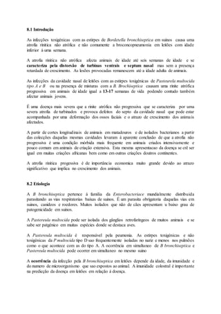 8.1 Introdução
As infecções toxigénicas com as estirpes de Bordetella bronchiseptica em suinos causa uma
atrofia rinitica não atrófica e não comumente a broconcopneumonia em leitões com idade
inferior á uma semana.
A atrofia rinitica não atrófica afecta animais de idade até seis semanas de idade e se
caracteriza pela distorsão de turbinas ventrais e septum nasal mas sem a presença
retardada de crescimento. As lesões provocadas remanescem até a idade adulta de animais.
As infecções da cavidade nasal de leitões com as estirpes toxigénicas de Pasteurela multocida
tipo A e B ou na presença de misturas com a B. Brochiseptica causam uma rinite atrófica
progressiva em animais de idade igual a 13-17 semanas de vida podendo contudo também
afectar animais jovens.
É uma doença mais severa que a rinite atrófica não progressiva que se caracteriza por uma
severa atrofia de turbinados e provoca defeitos do septo da cavidade nasal que pode estar
acompanhada por uma deformação dos ossos faciais e o atrazo de crescimento dos animais
afectados.
A partir de cortes longitudinais de animais em matadouros e de isolados bacterianos a partir
das colecções daquelas mesmas cavidades levaram á aparente conclusão de que a atrofia não
progressiva é uma condição mórbida mais frequente em animais criados intensivamente e
pouco comum em animais de criação extensiva. Esta mesma apresentacao da doença se crê ser
igual em muitas criações africanas bem como em outras criações doutros continentes.
A atrofia rinitica progessiva é de importância economica muito grande devido ao atrazo
significativo que implica no crescimento dos animais.
8.2 Etiologia
A B bronchiseptica pertence á familia da Enterobacteriace mundialmente distribuida
parasitando as vias respiratorias baixas de suinos. É um parasita obrigatoria daquelas vias em
suinos, canideos e roedores. Muitos isolados que não de cães apresentam u baixo grau de
patogenicidade em suinos.
A Pastereula multocida pode ser isolada dos gânglios retrofaríngeos de muitos animais e se
sabe ser patgénico em muitas espécies donde se destaca aves.
A Pastereula multocida é responsável pela peumonia. As estirpes toxigénicas e não
toxigénicas da P multocida tipo D sao frequentemente isoladas no nariz e menos nos pulmões
como o que acontece com as do tipo A. A ocorrência em simultaneo de B bronchiseptica e
Pastereula multocida pode ocorrer em simultaneo no mesmo suino
A ocorrência da infecção pela B bronchiseptica em leitões depende da idade, da imunidade e
do numero de microorganismo que sao expostos ao animal. A imunidade colostral é importante
na predicção da doença em leitões em relação á doença.
 