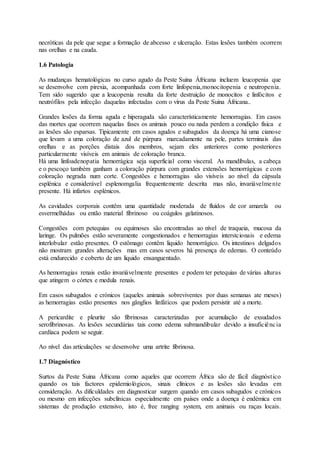 necróticas da pele que segue a formação de abcesso e ulceração. Estas lesões também ocorrem
nas orelhas e na cauda.
1.6 Patologia
As mudanças hematológicas no curso agudo da Peste Suina Áfricana incluem leucopenia que
se desenvolve com pirexia, acompanhada com forte linfopenia,monocitopenia e neutropenia.
Tem sido sugerido que a leucopenia resulta da forte destruição de monocitos e linfócitos e
neutrófilos pela infecção daquelas infectadas com o vírus da Peste Suina Áfricana..
Grandes lesões da forma aguda e hiperaguda são característicamente hemorragias. Em casos
das mortes que ocorrem naquelas fases os animais pouco ou nada perdem a condição física e
as lesões são esparsas. Tipicamente em casos agudos e subagudos da doença há uma cianose
que levam a uma coloração de azul de púrpura marcadamente na pele, partes terminais das
orelhas e as porções distais dos membros, sejam eles anteriores como posteriores
particularmente visíveis em animais de coloração branca.
Há uma linfoadenopatia hemorrágica seja superficial como visceral. As mandíbulas, a cabeça
e o pescoço também ganham a coloração púrpura com grandes extensões hemorrágicas e com
coloração negrada num corte. Congestões e hemorragias são visíveis ao nível da cápsula
esplénica e considerável esplenomgalia frequentemente descrita mas não, invariávelmente
presente. Há infartos esplénicos.
As cavidades corporais contêm uma quantidade moderada de fluídos de cor amarela ou
esvermelhádas ou então material fibrinoso ou coágulos gelatinosos.
Congestões com petequias ou equimoses são encontradas ao nível de traqueia, mucosa da
laringe. Os pulmões estão severamente congestionados e hemorragias interstcionais e edema
interlobular estão presentes. O estômago contêm liquido hemorrágico. Os intestinos delgados
não mostram grandes alterações mas em casos severos há presença de edemas. O conteúdo
está endurecido e coberto de um liquido ensanguentado.
As hemorragias renais estão invariávelmente presentes e podem ter petequias de várias alturas
que atingem o córtex e medula renais.
Em casos subagudos e crónicos (aqueles animais sobreviventes por duas semanas ate meses)
as hemorragias estão presentes nos gânglios linfáticos que podem persistir até a morte.
A pericardite e pleurite são fibrinosas caracterizadas por acumulação de exsudados
serofibrinosas. As lesões secundárias tais como edema submandibular devido a insuficiência
cardíaca podem se seguir.
Ao nível das articulações se desenvolve uma artrite fibrinosa.
1.7 Diagnóstico
Surtos da Peste Suina Áfricana como aqueles que ocorrem África são de fácil diagnóstico
quando os tais factores epidemiológicos, sinais clínicos e as lesões são levadas em
consideração. As dificuldades em diagnosticar surgem quando em casos subagudos e crónicos
ou mesmo em infecções subclínicas especialmente em países onde a doença é endémica em
sistemas de produção extensivo, isto é, free ranging system, em animais ou raças locais.
 