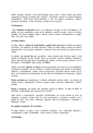 Suínos selvagens excretam o vírus pela descargas nasais, saliva e sémen. Suínos que tenham
recuperado da doença ou tenham sido vacinados e novamente expostos se tornam portadores
assintomáticos. Desta forma podem transmitir o vírus aos animais susceptíveis. Animais
portadores transmitem o vírus via uterina ou então no acto de parto.
3.4 Patogénese
Após a inalação ou ingestão de vírus a sua réplicação tem lugar ao nível das amígdalas e no
epitélio das vias respiratórias partes da via olfactória a partir dos quais e pela via cerebro-
espinhal e de forma centrípeta atinge o sistema nervoso central e posteriormente os órgãos
vitais tais como o rins, fígado.
3.5 Sinais clínicos
Os sinais clínicos variam de assintomático a aguda fatal dependendo da idade dos animais
envolvidos e da virulência da estirpe envolvida. Embora os sinais clínicos possam ser variável
frequentemente há um quadro respiratório e alimentar bem como afecção do sistema nervoso
central.
Os animais mais jovens são mais susceptíveis onde a doença cursa de forma aguda e com
período de incubação de uma semana. Após o p.i. há febre, anorexia, disfunção respiratória,
ataxia, depressão descarga nasal e ocasionalmente vômitos e a morte pode se observar um a 2
dias depois. A mortalidade pode se situar até 100%.
Leitões com idade superior a 5 meses a doença apresentam uma menor taxa de mortalidade.
O período de incubação é de 36 a 48 horas. A seguir há descarga nasal, diarreia ou obstipação,
sialorreia e ocasionalmente vômitos. Há um envolvimento do sistema nervoso central, que se
inicia com a depressão e posteriormente há uma falta de coordenação nos movimentos seguida
de morte.
Porcas gestantes que experimentam a infecção placentária podem resultar na absorção do
embrião aborto e mumificação de fetos ou partos mistos com fetos mumificados e leitões
normais.
Porcas e varrascos que tenham tido infectados podem ser inférteis ou então ter libido ou
fertilidade comprometida pela acção provável da febre.
Gado bovino é extremamente susceptível demonstrando um severo prurido no local de
exposição. A doença é sempre fatal. E as suas características se prestam a confusão com o
quadro da raiva. Tais como a sialorreia, agressão, falta de coordenação e convulsões e
finalmente a morte.
Os equídeos raramente são envolvidos.
Os sinais clínicos em gatos e cães e carnívoros selvagens são a depressão, sialorreia e
ocasionalmente a hiper excitabilidade coma e morte, ou então a recuperação.
3.6 Patologia
 
