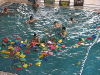 Iii festa de finalistas do programa de apoio