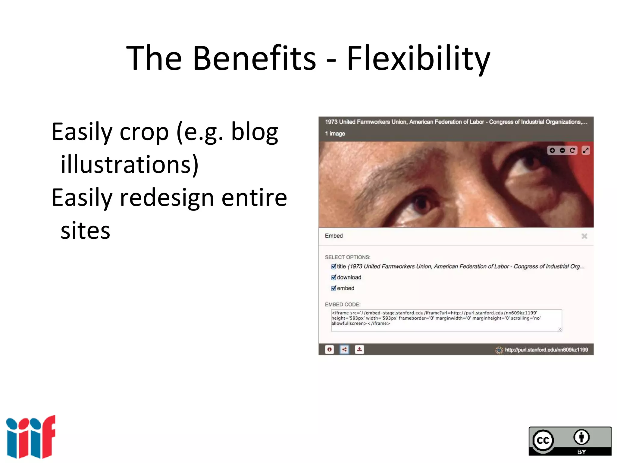 The Benefits - Flexibility
Easily crop (e.g. blog
illustrations)
Easily redesign entire
sites
 