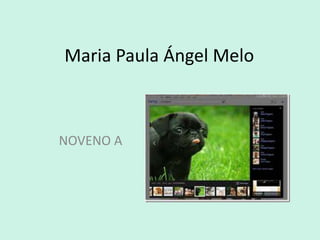 Maria Paula Ángel Melo 
NOVENO A 
 