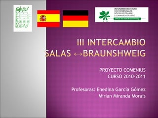 PROYECTO COMENIUS
               CURSO 2010-2011

Profesoras: Enedina García Gómez
             Mirian Miranda Morais
 