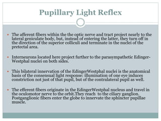 III, IV, VI Cranial nervess on the movement of eye | PPTX