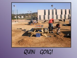 QUIN GOIG!
 