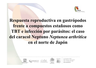 Respuesta reproductiva en gastrópodos
  frente a compuestos estañosos como
 TBT e infección por parásitos: el caso
del caracol Neptuno Neptunea arthritica
          en el norte de Japón
 