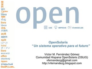 USE    IMPROVE   EVANGELIZE




          OpenSolaris
“Un sistema operativo para el futuro”

       Víctor M. Fernández Gómez
  Comunidad Hispana OpenSolaris (OSUG)
         vfernandezg@gmail.com
     http://vfernandezg.blogspot.com
 