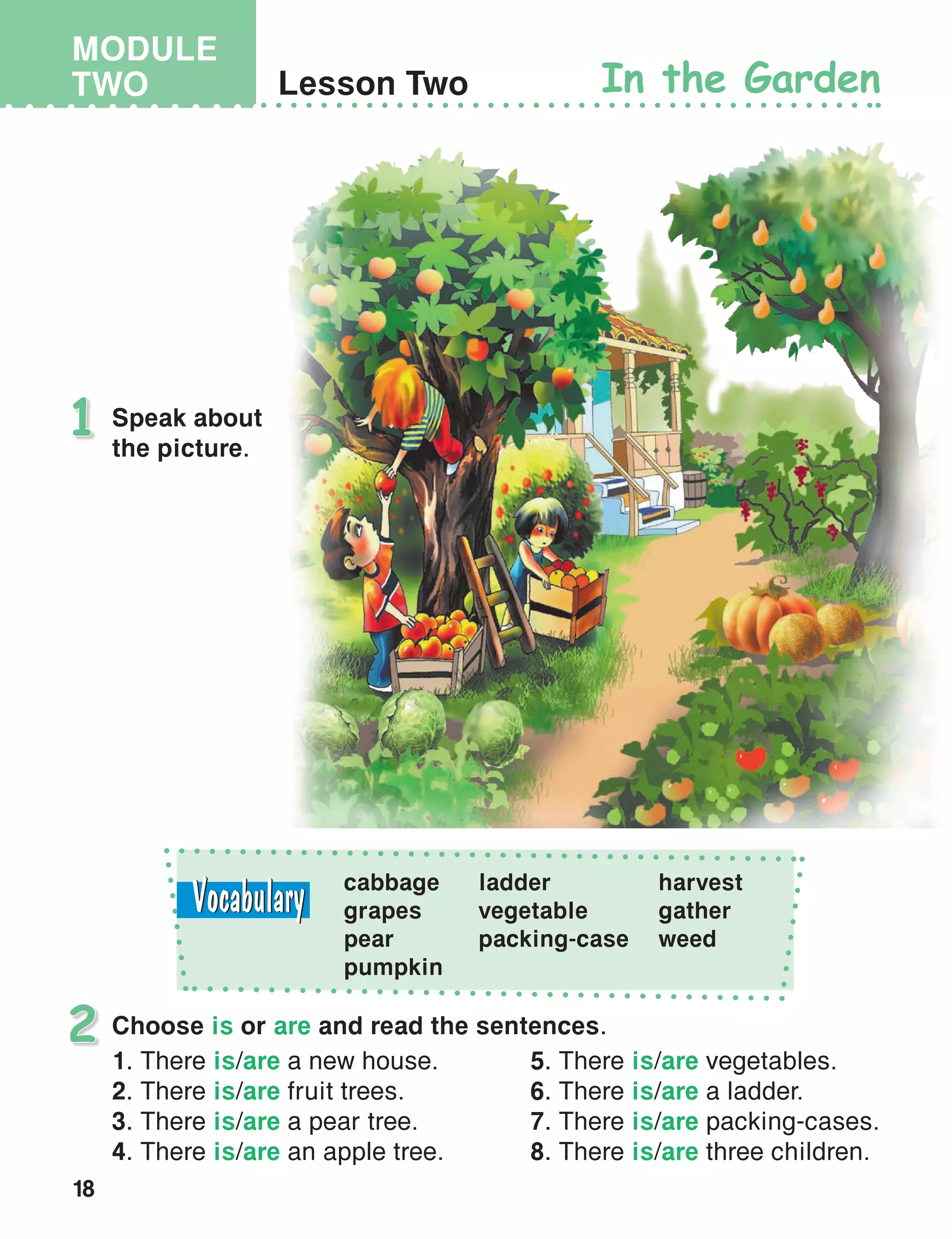 18
MODULE
TWO Lesson Two In the Garden
Speak about
the picture.
1
2
cabbage
grapes
pear
pumpkin
ladder
vegetable
packing-case
harvest
gather
weed
Choose is or are and read the sentences.
1. There is/are a new house.
2. There is/are fruit trees.
3. There is/are a pear tree.
4. There is/are an apple tree.
5. There is/are vegetables.
6. There is/are a ladder.
7. There is/are packing-cases.
8. There is/are three children.
 