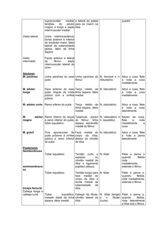 Vasto lateral
Vasto
intermédio
Adutores
M. pectíneo
M. adutor
longo
M. adutor curto
M. adutor
magno
M. grácil
Posteriores
Semitendinoso
semimembrano
so
bíceps femural
Cabeça longa e
cabeça curta
supracondilar medial,
tendões do adutor
magno e longo e septo
intermuscular medial
Linha intertrocantérica,
borda anterior e inferior
do trocânter maior, lábio
lateral da tuberosidade
glútea, lábio da linha
áspera
Faces anterior e lateral
do fêmur, septo
intermuscular lateral da
coxa
Linha pectínea do osso
pube
Face anterior do osso
pube, ângulo da crista
púbica com a sínfise
púbica
Ramo inferior do pube
Ramo inferior do ísquio
e ramo inferior do pube,
túber isquiádico
Fina aponeurose do
pube próximo à sínfise
púbica e ramo inferior
do pube
Túber isquiádico
Túber isquiádico
Túber isquiádico,
metade distal da linha
áspera, lábio medial
e lateral da patela
para se inserir na
tíbia
Linha pectínea do
fêmur
Terço médio da
linha áspera, lábio
medial
Terço médio da
linha áspera, lábio
medial
Tubérculo adutor
do fêmur, linha
áspera, epicôndilo
medial do fêmur
Face medial do
corpo da tíbia,
abaixo do côndilo
da tíbia
Tendão curto e
espesso no
côndilo medial da
tíbia e ligamento
poplíteo oblíquo
Tendão longo para
face medial do
corpo da tíbia e
borda medial da
tuberosidade da
tíbia
Cabeça da fíbula,
côndilo lateral da
tíbia
N. femoral e n.
obturatório
N. obturatório
N. obturatório
N. obturatório e
n. isquiádico
N. obturatório
N. tibial
N. tibial
N. tibial (longa)
e n. fibular
(curta)
quadril
Aduz a coxa, flete
e roda a coxa
medialmente
Aduz a coxa, flete
e roda a coxa
medialmente
Aduz a coxa, flete
e roda a coxa
lateralmente
Adutor da coxa,
flete e roda
medialmente a
coxa
Aduz a coxa, flete
e roda a perna
lateralmente
Flete a perna e
quando fletida
roda
medialmente,
estende o fêmur
Flete a perna e,
quando fletida,
roda medialmente,
estende o fêmur
Flete a perna e,
quando fletida,
roda lateralmente
a tíbia sob o fêmur
 