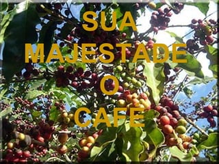 SUA
MAJESTADE
O
CAFÉ
 