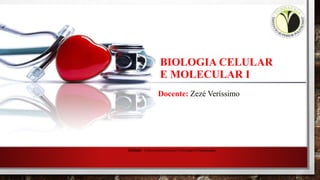 BIOLOGIA CELULAR
E MOLECULAR I
Cursos: Ciências farmacêuticas| Enfermagem| Fisioterapia
Docente: Zezé Veríssimo
 