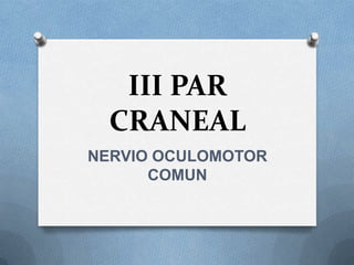 III PAR
CRANEAL
NERVIO OCULOMOTOR
COMUN
 