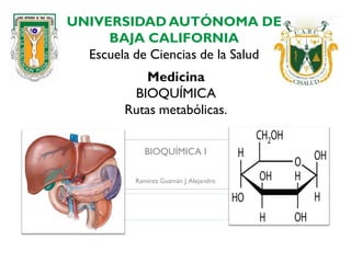 UNIVERSIDAD AUTÓNOMA DE
BAJA CALIFORNIA
Escuela de Ciencias de la Salud
Medicina
BIOQUÍMICA
Rutas metabólicas.
BIOQUÍMICA I
Ramírez Guzmán J.Alejandro
 