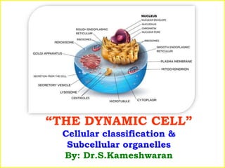“THE DYNAMIC CELL”
Cellular classification &
Subcellular organelles
By: Dr.S.Kameshwaran
 