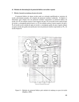 49 
d) Métodos de determinação do potencial hídrico em tecidos vegetais 
• Método baseado na mudança do peso do tecido 
O potencial hídrico de alguns tecidos pode ser estimado equilibrando-se amostras de 
tecido, previamente pesadas, em soluções de potencial osmótico conhecido. O objetivo é 
determinar qual solução tem um potencial osmótico equivalente ao potencial hídrico do 
tecido. Se o Ys da solução externa é mais negativo do que o Yw do tecido ocorre saída de água 
do tecido e, conseqüente perda de peso; se o Ys da solução externa é menos negativo do que o 
Yw do tecido ocorre entrada de água no tecido e, conseqüente ganho de peso; aquela solução 
na qual o tecido não ganha nem perde peso tem um potencial osmótico equivalente ao Yw do 
tecido (Figura 8) 
Figura 8 – Medição do potencial hídrico pelo método de mudança no peso do tecido 
(Hopkins, 2000). 
 