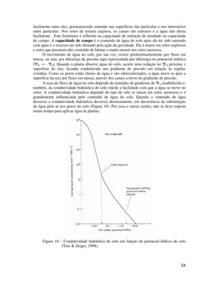 facilmente entre eles, permanecendo somente nas superfícies das partículas e nos interstícios 
entre partículas. Nos solos de textura argilosa, os canais são estreitos e a água não drena 
facilmente. Este fenômeno é refletido na capacidade de retenção de umidade ou capacidade 
de campo. A capacidade de campo é o conteúdo de água do solo após ele ter sido saturado 
com água e o excesso ter sido drenado pela ação da gravidade. Ela é maior em solos argilosos 
e solos que possuem alto conteúdo de húmus e muito menor nos solos arenosos. 
O movimento de água no solo, por sua vez, ocorre predominantemente por fluxo em 
massa, ou seja, por diferença de pressão aqui representada por diferença no potencial mátrico 
(Ym = - Yp). Quando a planta absorve água do solo, ocorre uma redução no Ym próximo à 
superfície da raiz, ficando estabelecido um gradiente de pressão em relação às regiões 
vizinhas. Como os poros estão cheios de água e são interconectados, a água move-se para a 
superfície da raiz por fluxo em massa, através dos canais a favor do gradiente de pressão. 
A taxa de fluxo de água no solo depende do tamanho do gradiente de Ym estabelecido e, 
também, da condutividade hidráulica do solo (mede a facilidade com que a água se move no 
solo). A condutividade hidráulica depende do tipo de solo (é maior em solos arenosos) e é 
grandemente influenciada pelo conteúdo de água do solo. Quando o conteúdo de água 
decresce a condutividade hidráulica decresce drasticamente, em decorrência da substituição 
da água pelo ar nos poros do solo (Figura 10). Por essa e outras razões, não se deve esperar 
muito tempo para aplicar água às plantas. 
Figura 10 – Condutividade hidráulica do solo em função do potencial hídrico do solo 
54 
(Taiz  Zeiger, 1998). 
 