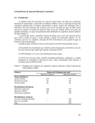 61 
4.Transferência de Água da Folha para a Atmosfera 
4.1. Transpiração 
A trajetória final do movimento de vapor de água através da folha até a atmosfera 
denomina-se transpiração, a qual pode ser definida, também, como a evaporação da água das 
superfícies celulares para os espaços intercelulares e destes, através dos estômatos, para a 
atmosfera. Tem sido estimado que somente cerca de 5% da perda de água da folha ocorre 
através da cutícula. O restante da perda de água ocorre por difusão através dos poros do 
aparelho estomático, os quais são geralmente mais abundantes na superfície abaxial (inferior) 
da folha (Tabela 3). 
A cutícula que cobre a superfície exposta da planta serve como uma barreira efetiva 
para evitar a perda de água e, assim, protege a planta da dessecação (Figura 17). Os 
estômatos, por sua vez, acoplam a absorção de CO2 (fotossíntese) com a perda de água na 
forma de vapor (transpiração). 
A perda de água, entretanto, torna-se mais expressiva devido a três principais causas: 
1) O gradiente de concentração que controla a perda de água para a atmosfera é cerca de 
50 vezes maior do que aquele que controla a absorção de CO2; 
2) O CO2 difunde-se 1,6 vezes mais lentamente do que a água; 
3) O CO2 tem um mais longo caminho (membrana plasmática, citoplasma, e a dupla 
membrana do cloroplasto) a percorrer do que a água, aumentando, desta maneira, a 
resistência para a difusão de CO2. 
Tabela 3 – Freqüência de estômatos nas superfícies superior (adaxial) e inferior (abaxial) da 
folha (Hopkins, 2000) 
Gêneros Número de Estômatos por mm2 
Superfície Superior Superfície Inferior 
Monocotiledôneas 
Allium (cebola) 175 175 
Hordeum (cevada) 70 85 
Trticum (trigo) 50 40 
Dicotiledôneas Herbáceas 
Helianthus (girassol) 120 175 
Medicago (alfafa) 169 188 
Pelargonium (gerânio) 29 179 
Dicotiledôneas Arbóreas 
Aesculus (castanha-da-índia) - 210 
Quercus (carvalho) - 340 
Tilia - 370 
 