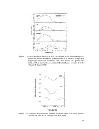 Hora do dia 
Figura 21 – A relação entre a absorção de água e a transpiração em diferentes espécies, 
durante um período de 24 horas. Note que as taxas de absorção de água e de 
transpiração variam com a espécie e com a hora do dia. Em Opuntia, uma 
planta CAM, as maiores taxas ocorrem no final da tarde e no início da noite. 
( Kramer  Boyer, 1995) 
Hora do dia 
Conteúdo de umidade 
Figura 22 – Flutuação no conteúdo de umidade de caules, folhas e raízes de girassol, 
67 
durante um claro dia de verão (Wilson et al., 1953) 
 