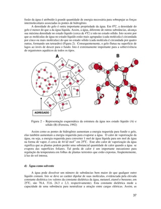 fusão da água é atribuído à grande quantidade de energia necessária para sobrepujar as forças 
intermoleculares associadas às pontes de hidrogênio. 
A densidade do gelo é outra importante propriedade da água. Em 0oC, a densidade do 
gelo é menor do que a da água líquida. Assim, a água, diferente de outras substâncias, alcança 
sua máxima densidade no estado líquido (cerca de 4oC) e não no estado sólido. Isto ocorre por 
que as moléculas de água no estado líquido estão mais agrupadas (cada molécula é circundada 
por cinco ou mais moléculas) do que no estado sólido (cada molécula é circundada por quatro 
outras, formando um tetraedro) (Figura 2). Consequentemente, o gelo flutua na superfície de 
lagos ao invés de descer para o fundo. Isto é extremamente importante para a sobrevivência 
de organismos aquáticos de todos os tipos. 
37 
AGREGADO 
A B 
Figura 2 – Representação esquemática da estrutura da água nos estado líquido (A) e 
sólido (B) (Ferreira, 1992) 
Assim como as pontes de hidrogênio aumentam a energia requerida para fundir o gelo, 
elas também aumentam a energia requerida para evaporar a água. O calor de vaporização da 
água, ou seja, a energia requerida para converter 1 mol de água líquida para um mol de água 
na forma de vapor, é cerca de 44 kJ mol-1 em 25oC. Este alto calor de vaporização da água 
significa que as plantas podem perder uma substancial quantidade de calor quando a água se 
evapora das superfícies foliares. Tal perda de calor é um importante mecanismo para 
regulação da temperatura em folhas de plantas terrestres que estão expostas, freqüentemente, 
à luz do sol intensa. 
d) Água como solvente 
A água pode dissolver um número de substâncias bem maior do que qualquer outro 
líquido comum. Isto se deve ao caráter dipolar de suas moléculas, evidenciada pela elevada 
constante dielétrica (os valores da constante dielétrica da água, metanol, etanol e benzeno, em 
25oC, são 78,4, 33,6, 24,3 e 2,3, respectivamente). Esta constante dielétrica mede a 
capacidade de uma substância para neutralizar a atração entre cargas elétricas. Assim, as 
 