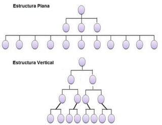 Iii tema 6  1. organización vertical vs horizontal