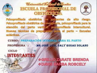 CICLO : V
PROFESORA : Mg José Luis, saLy Rosas soLano
CURSO: PREPARACIÓN INTEGRAL PARA EL PARTO
 