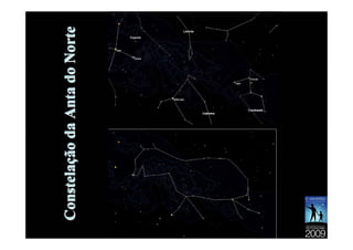 Constelação da Anta do Norte
 