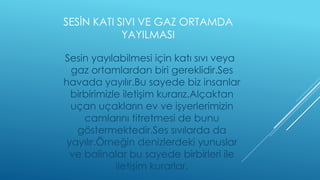 SESİN KATI SIVI VE GAZ ORTAMDA
YAYILMASI
Sesin yayılabilmesi için katı sıvı veya
gaz ortamlardan biri gereklidir.Ses
havada yayılır.Bu sayede biz insanlar
birbirimizle iletişim kurarız.Alçaktan
uçan uçakların ev ve işyerlerimizin
camlarını titretmesi de bunu
göstermektedir.Ses sıvılarda da
yayılır.Örneğin denizlerdeki yunuslar
ve balinalar bu sayede birbirleri ile
iletişim kurarlar.
 