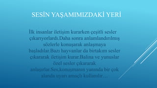SESİN YAŞAMIMIZDAKİ YERİ
İlk insanlar iletişim kurarken çeşitli sesler
çıkarıyorlardı.Daha sonra anlamlandırılmış
sözlerle konuşarak anlaşmaya
başladılar.Bazı hayvanlar da birtakım sesler
çıkararak iletişim kurar.Balina ve yunuslar
özel sesler çıkararak
anlaşırlar.Ses,konuşmanın yanında bir çok
alanda uyarı amaçlı kullanılır…
 