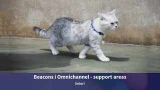 Beacons i Omnichannel - support areas
 